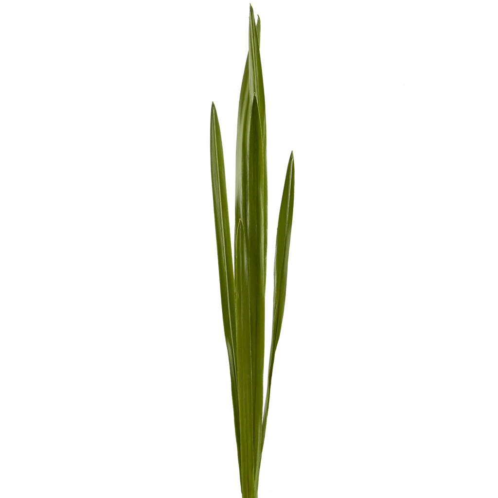 10381042.jpg img